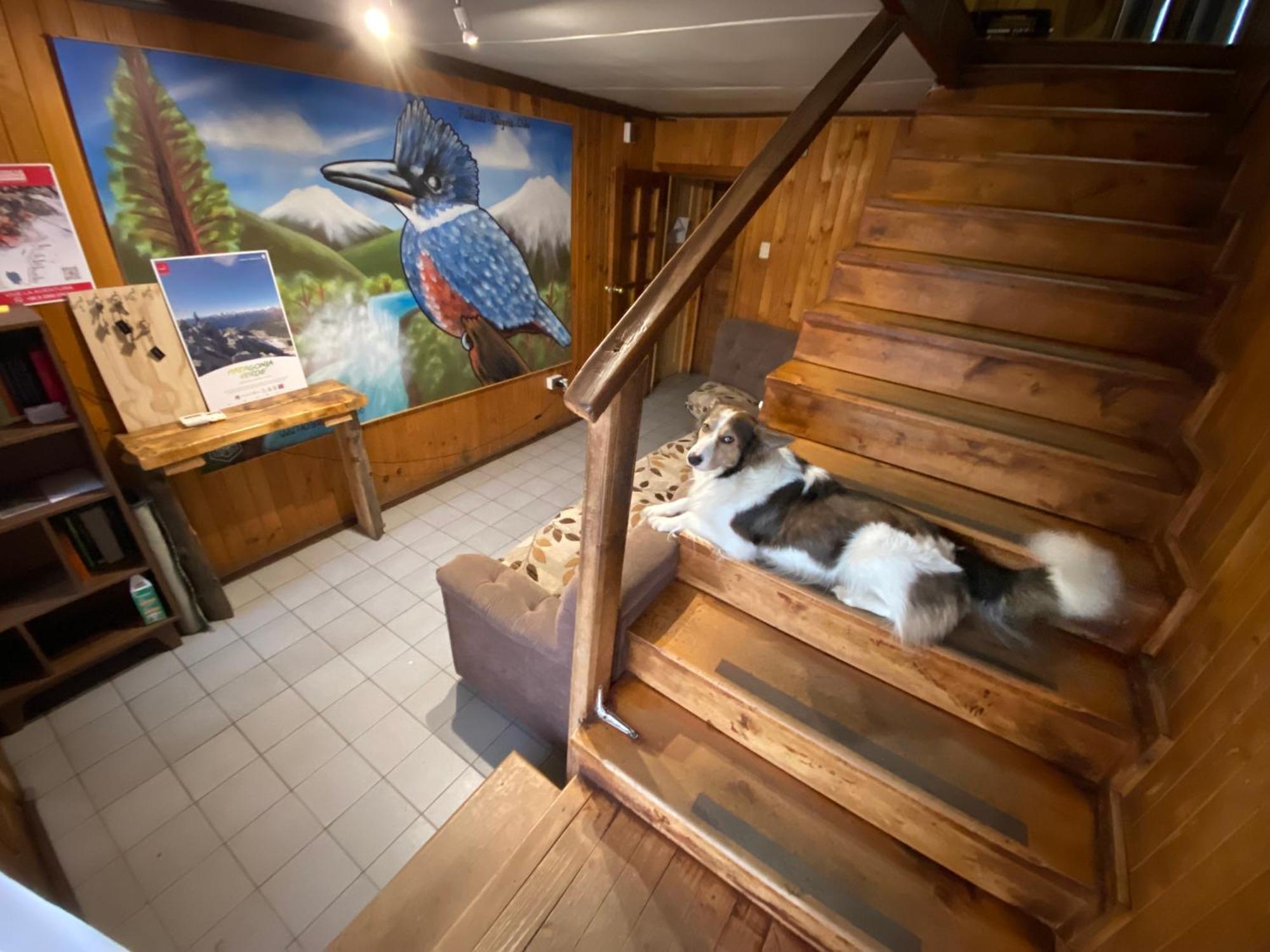 Hosteria Futaleufu Villa Ngoại thất bức ảnh